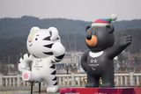 Митинг в поддержку участия российских спортсменов на Олимпиаде в Корее