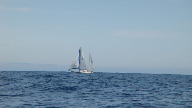 2009 Korea Cup International Yacht Race