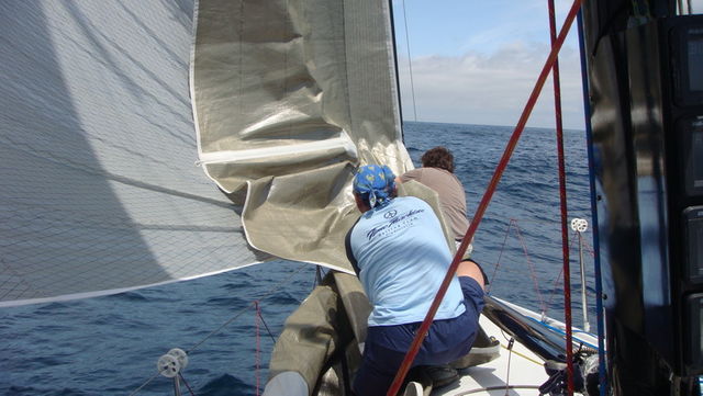 2009 Korea Cup International Yacht Race