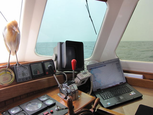 2009 Korea Cup International Yacht Race