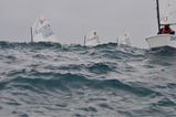   "Monaco Optimist Team Racing"