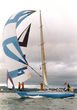  - 1988 Sydney-Hobart Yacht Race 1988         630    .                  ,               .